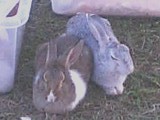 c0034887_011778.jpg
