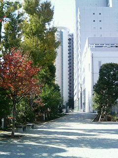 b0039090_495269.jpg