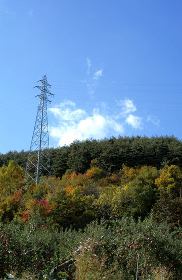 e0017393_231243.jpg
