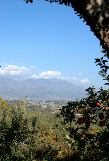 e0017393_2324474.jpg
