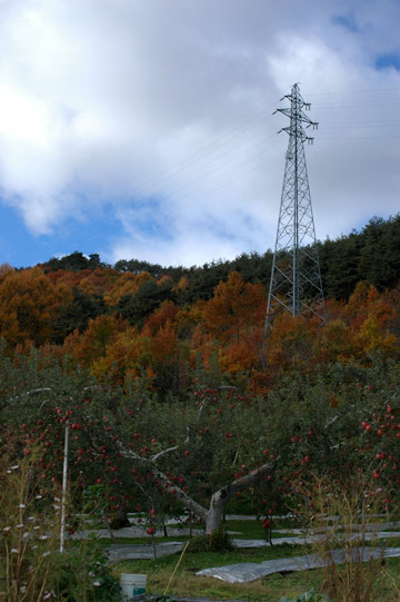 e0017393_2325212.jpg