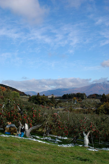 e0017393_2331413.jpg
