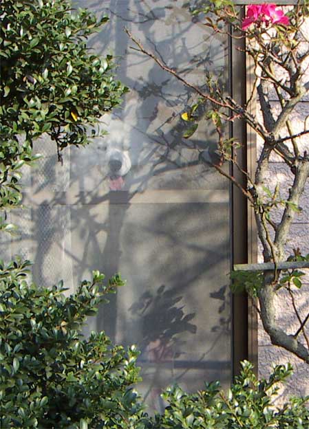 e0018604_16133234.jpg