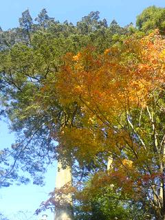 e0060807_1712175.jpg
