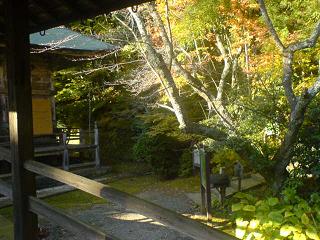 e0060807_17155276.jpg