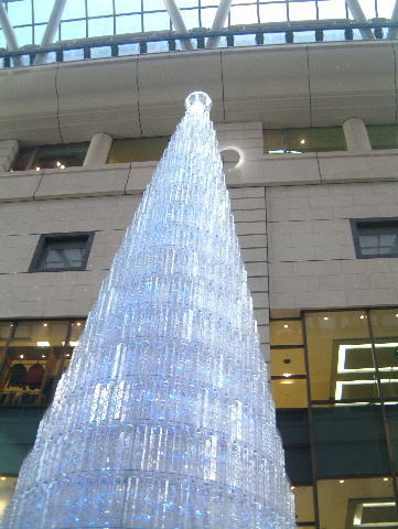 c0017311_831478.jpg