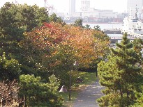 e0083212_1633957.jpg