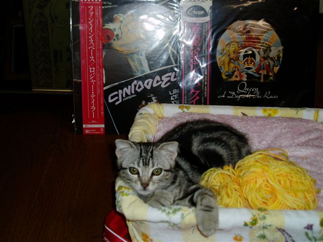 e0063317_15513756.jpg