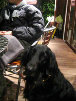 c0012120_135383.jpg