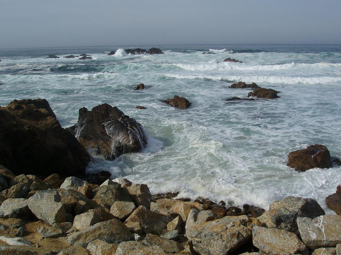 b0045223_6145716.jpg