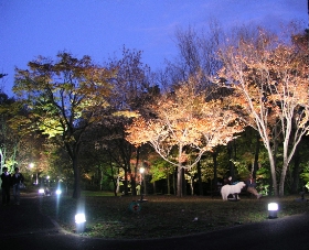 e0071225_017814.jpg