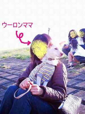 b0006329_1131639.jpg