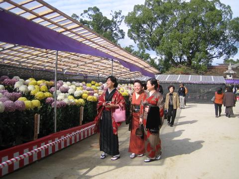 a0024531_15563435.jpg