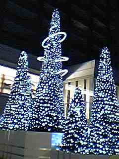 e0087443_22101211.jpg