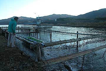 b0041146_15571436.jpg