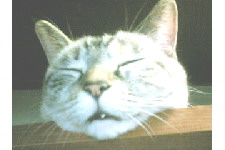 c0011446_18562686.jpg