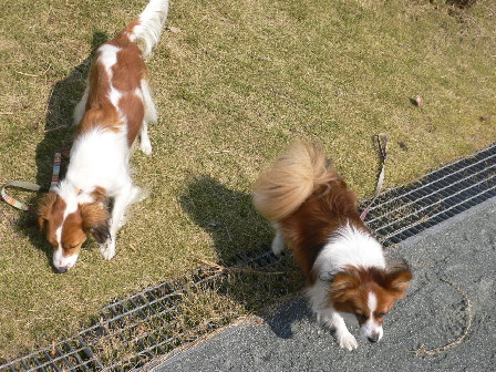 d0013149_0163534.jpg