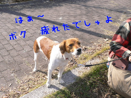 d0013149_081798.jpg