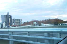 d0063149_2371853.jpg