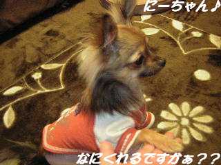 e0088654_231431.jpg