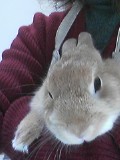 c0032257_1047126.jpg