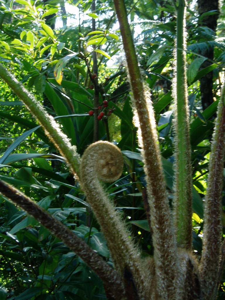 e0064158_231696.jpg