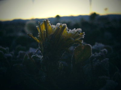 b0015260_13502720.jpg