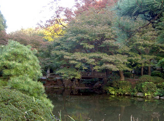 a0055567_3453978.jpg