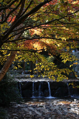 b0055171_23522943.jpg