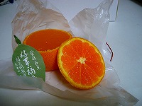 a0003079_2314220.jpg
