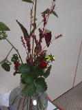 c0001079_1205358.jpg