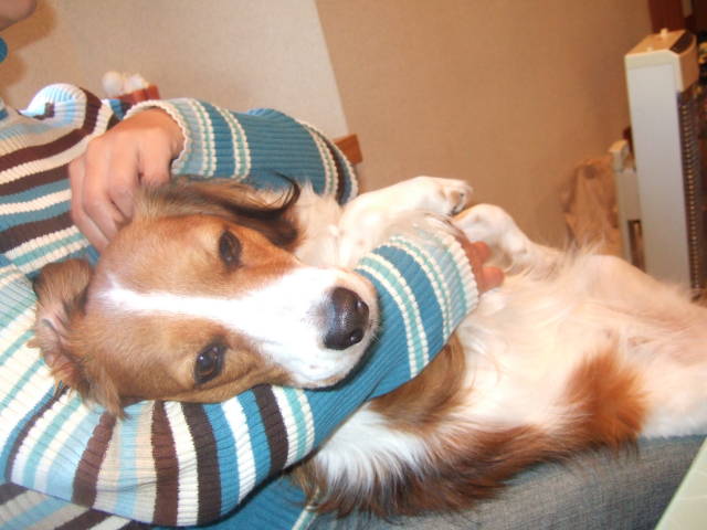 c0075585_022432.jpg