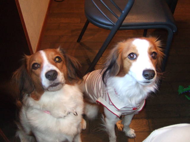 c0075585_025255.jpg