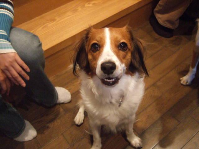 c0075585_0362031.jpg