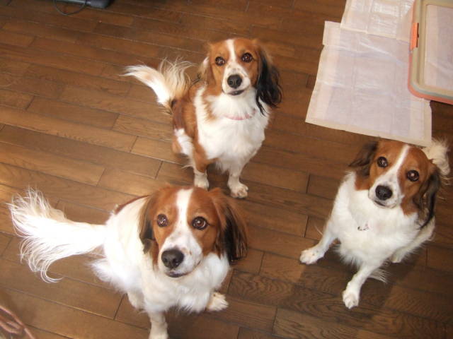 c0075585_0922.jpg