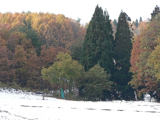 d0009689_64334.jpg