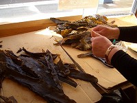 c0033992_2349642.jpg