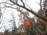 b0042512_224958100.jpg