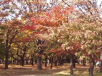 e0083212_13362375.jpg