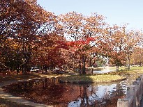 e0083212_1336743.jpg