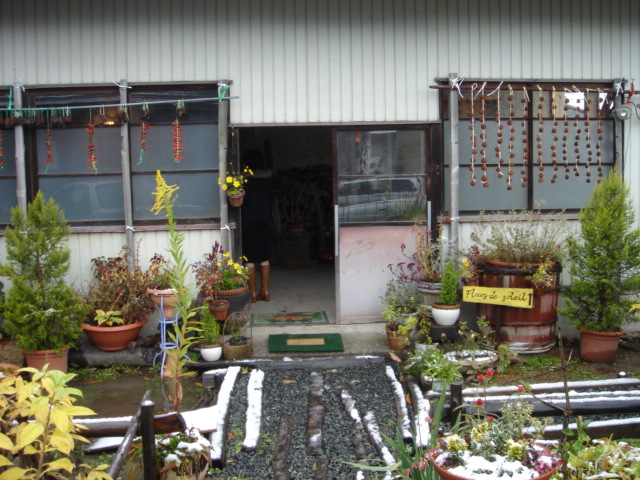 e0090714_5443958.jpg