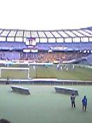 c0039323_0541839.jpg