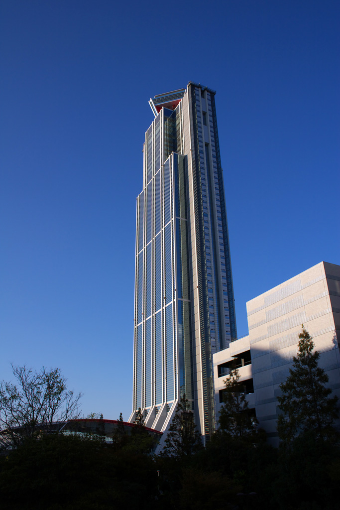 f0004525_8414343.jpg