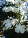 c0046928_23295262.jpg