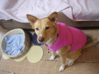 c0065643_207341.jpg