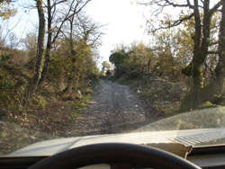 c0068149_19433679.jpg