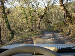 c0068149_19441332.jpg