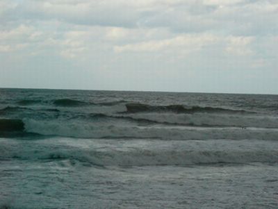 c0046361_2312132.jpg