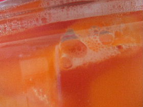 e0067563_1132675.jpg
