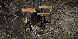 b0052295_2561671.gif